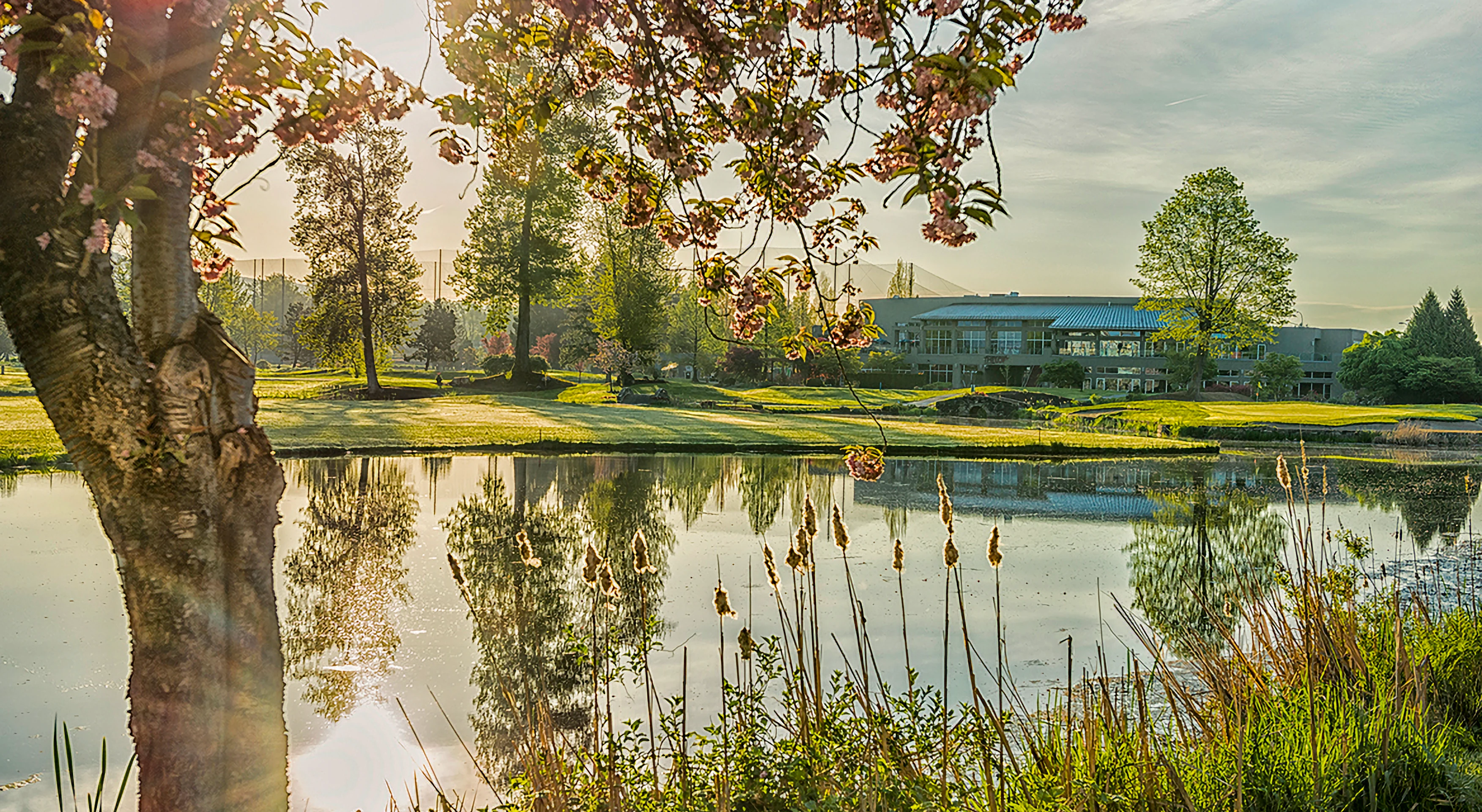 Advertise at Meadow Gardens